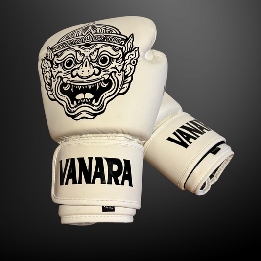 BOXINGGLOVES, BOKSEHANDSKER 14OZ