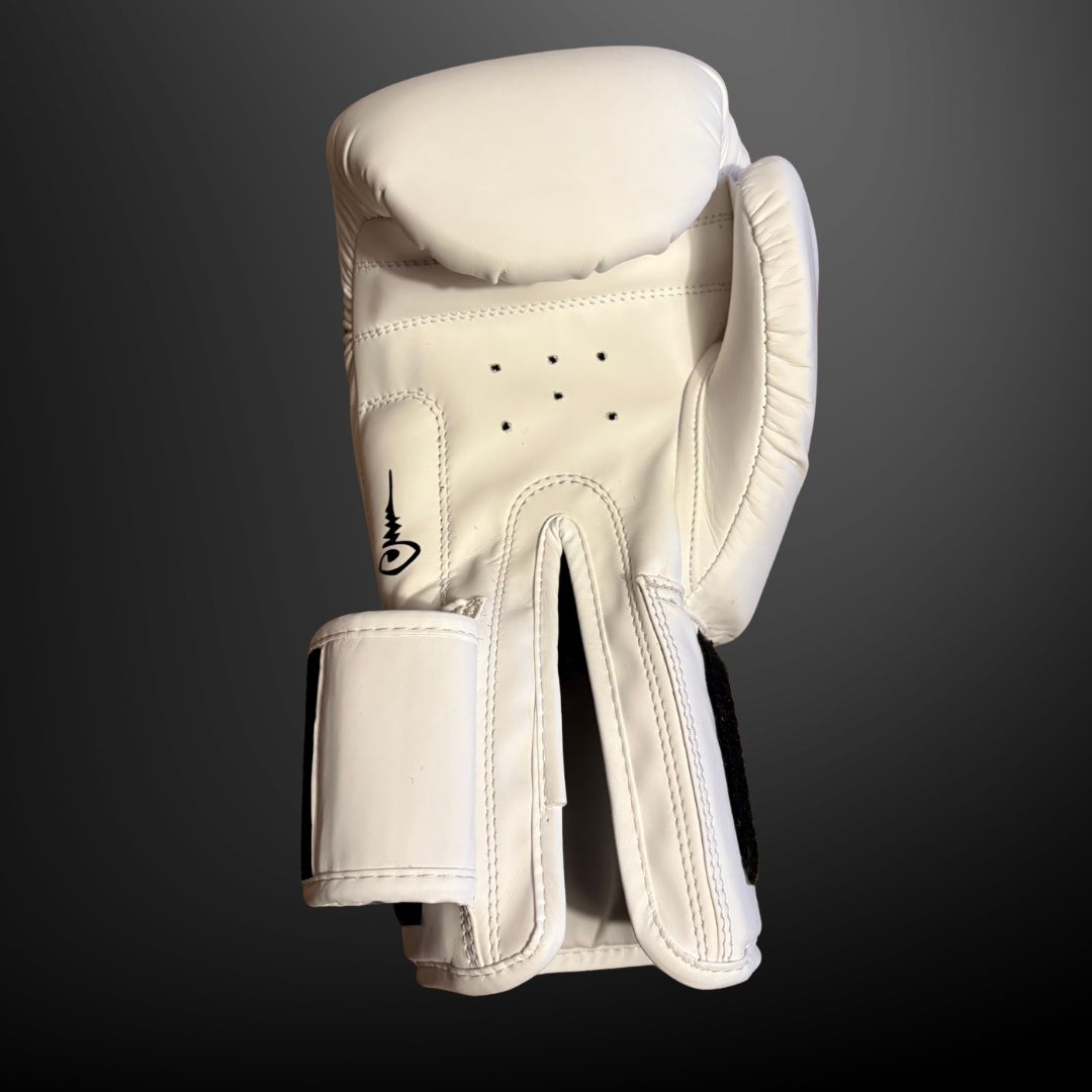 BOXINGGLOVES, BOKSEHANDSKER 14OZ